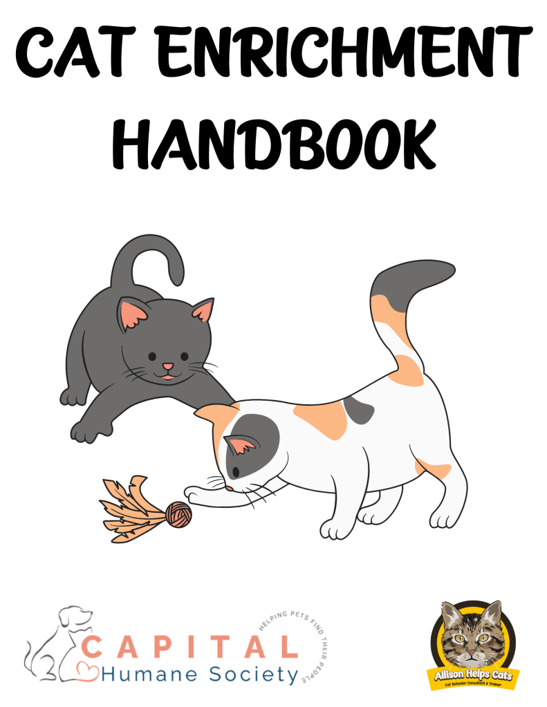 CHS Cat Enrichment Handbook